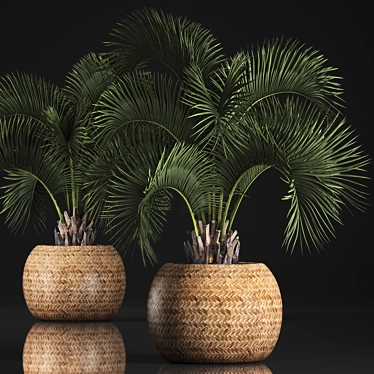 Exotic Houseplants Collection 3D model image 1 