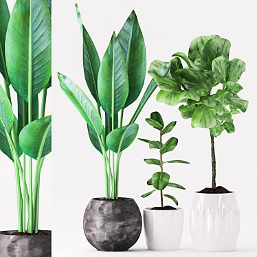 Tropical Greenery Ceramic Pot 3D model image 1 