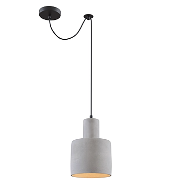 Broni Pendant Lamp: Maytoni Loft Collection 3D model image 1 