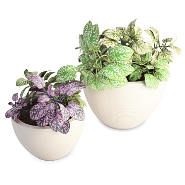 Modern Interior Flower Pot Set 3D model image 1 