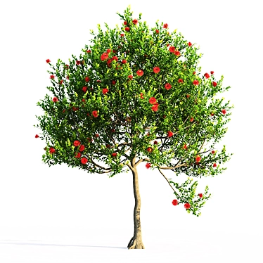 Vibrant Pohutukawa Blossoms 3D model image 1 