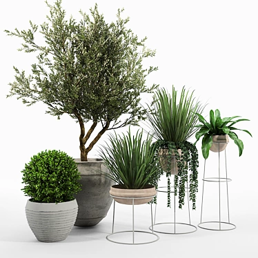 Modern Terracotta Planters for Indoor or Outdoor Use 3D model image 1 