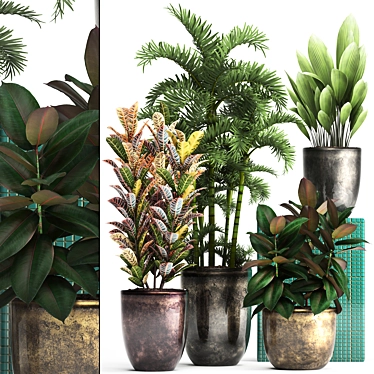 Exotic Plant Collection: Croton, Areca Palm, Ficus 3D model image 1 
