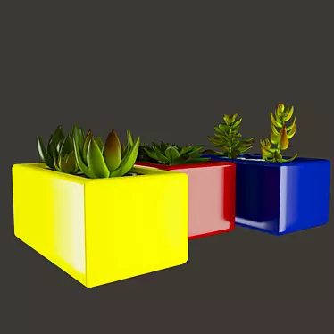 Vibrant Cactus Set: Marziye 3D model image 1 