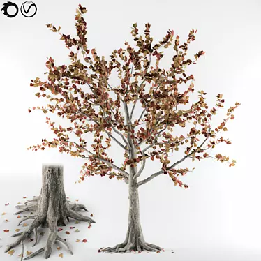 Autumn Tree 3D Model 3D model image 1 