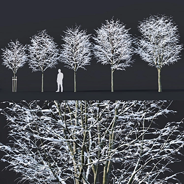 Winter Wonderland: Tilia Tree Set 3D model image 1 