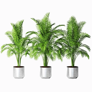 Tropical Trio Planter Set 3D model image 1 