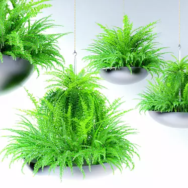 Elevate Your Space: Hanging Plant Pot 3D model image 1 