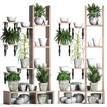 Title: Exotic Indoor Plant Collection 3D model image 1 