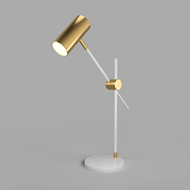 Philine 30.673 - Modern Metal Desk Lamp 3D model image 1 