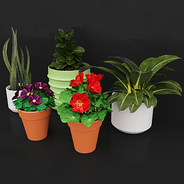 Vibrant Blooms Collection 3D model image 1 