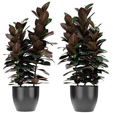 Exotic Palm Plant in Decorative Flowerpot 3D model image 1 