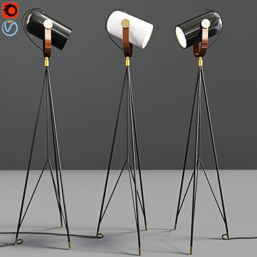 Carronade 360M: Stylish Black Floor Lamp 3D model image 1 