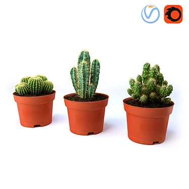 Spike Succulent: Low-maintenance Cactus 3D model image 1 