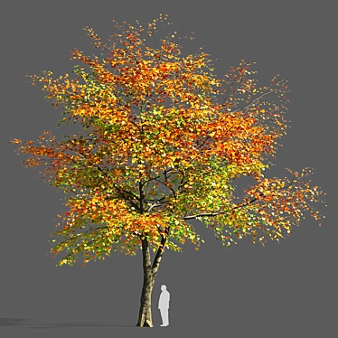  Majestic Maple Tree Sculpture 3D model image 1 