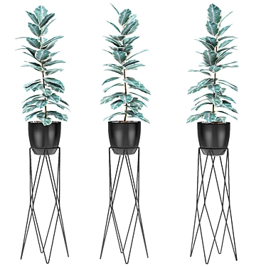 Exotic Palm Tree in Flowerpot 3D model image 1 