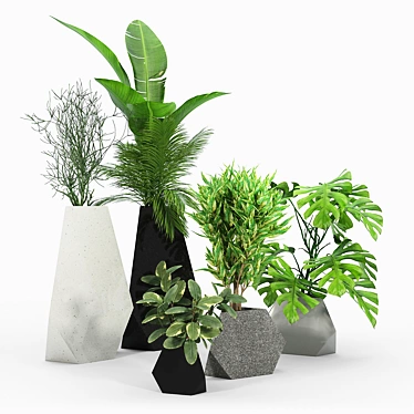Rockbound Plant Pots - Modern and Stylish 3D model image 1 