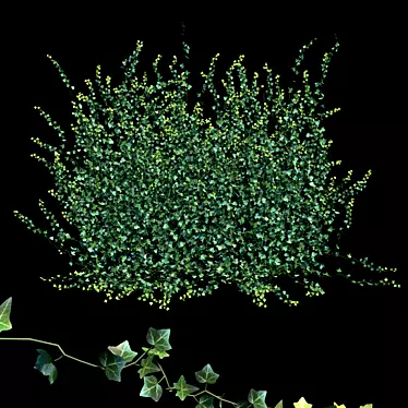 Lush Hedera Ivy Garland 3D model image 1 