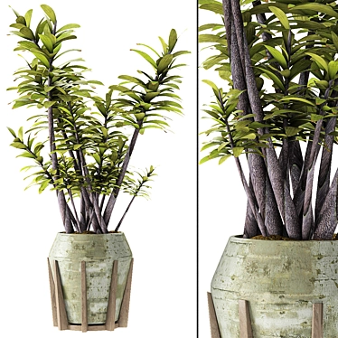 Title: Exotic Palm Tree Plant in Stylish Flowerpot 3D model image 1 