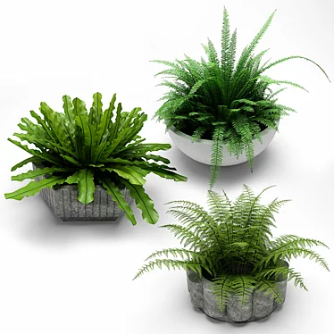 Title: Lush Landscape: Plants in Pots 3D model image 1 