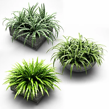 Greening your space: Plants in Flower Pots 3D model image 1 