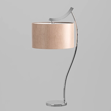 Elegant Light with Versatile Shade 3D model image 1 