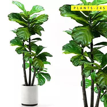  3D Plants Collection: 245 Varieties 3D model image 1 