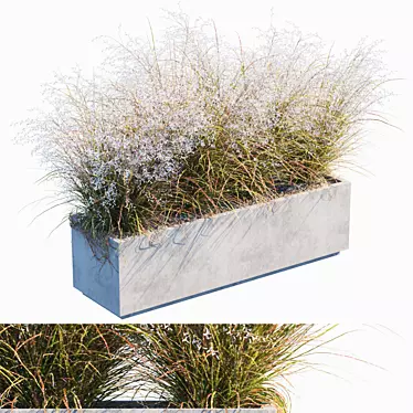Flowering Miscanthus: Yard & Outdoor Plant 3D model image 1 