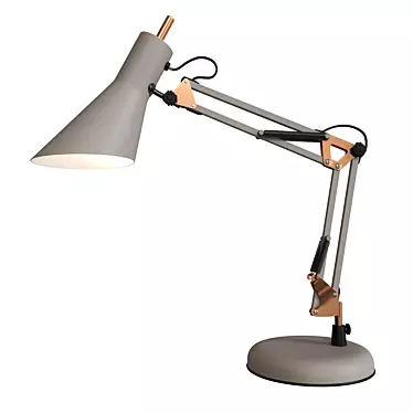 Gray Office Table Lamp - Norden 01032/1 3D model image 1 