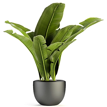 Exotic Greenery in Concrete Pot 3D model image 1 