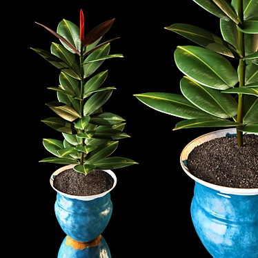 Rustic Ficus Plant in Iron Vase 3D model image 1 