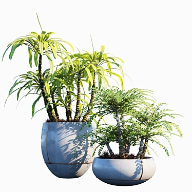 Evergreen Potted Plant #25: Lush & Low-Maintenance 3D model image 1 