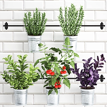 Kitchen Rail with Exotic Plants 3D model image 1 