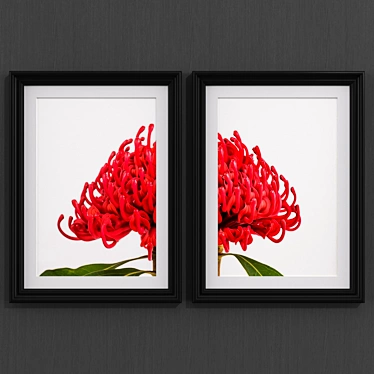 Modern Style Australian Flower Collection 3D model image 1 