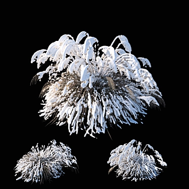 Elegant Winter Model: Miscanthus sinensis 3D model image 1 