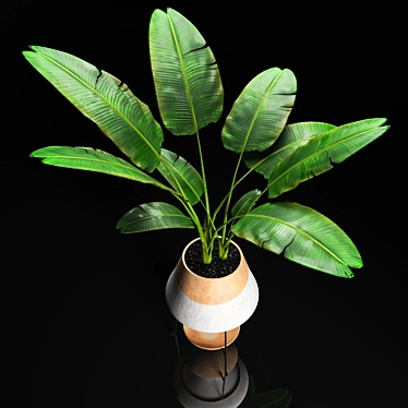 Modern Banana Tree Artwork: High-Quality Interior Decor 3D model image 1 