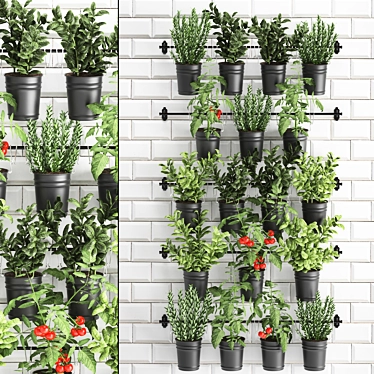 Vertical Greenery Collection: Rosemary, Tomato, Basil 3D model image 1 