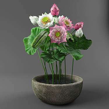 Lotus Bliss: Sacred Nelumbo nucifera 3D model image 1 