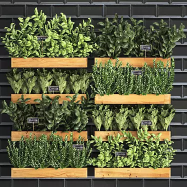 Vertical Garden Collection: Exotic Houseplants 3D model image 1 