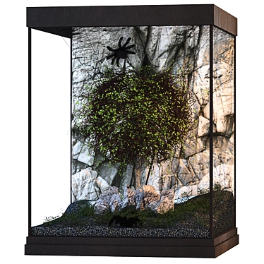 Spider's Lair: Terrarium for Bird-Eating Spiders 3D model image 1 