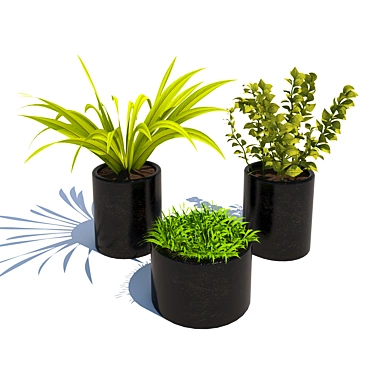 Green Oasis: Assorted Plant Collection 3D model image 1 