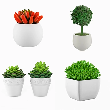 Green Oasis: 5 Potted Houseplants 3D model image 1 