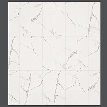 Silver Calacatta Marble: Multitexture for Walls & Floors 3D model image 1 