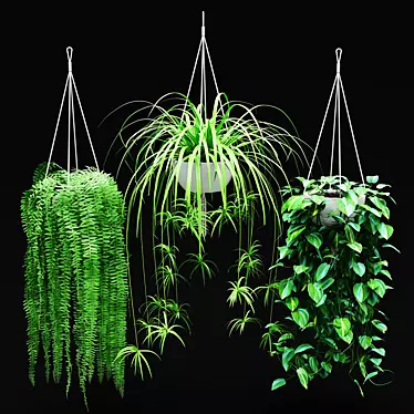 Suspended Blooms: Hanging Plant Set 3D model image 1 