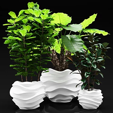 Exotic Indoor Plants in White Pots 3D model image 1 