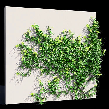 Exquisite Trachelospermum jasminoides 3D model image 1 