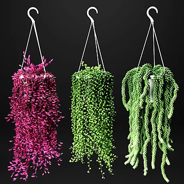 Hang & Bloom: Set of Hanging Flora 3D model image 1 