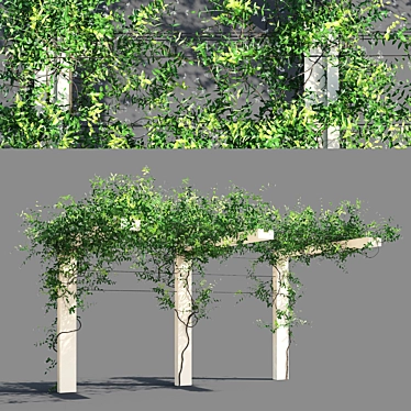 Trachelospermum Jasminoides Pergola 3D model image 1 