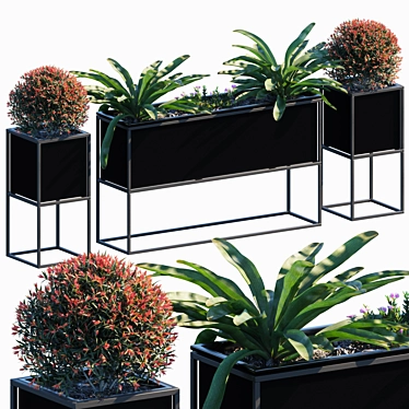 Outdoor Plant in Pots #30 3D model image 1 
