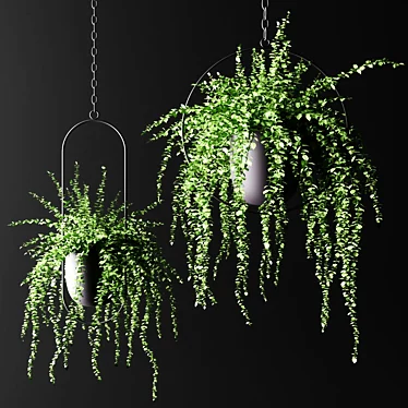 Black Hanging Flower Pots with Ampel Plants 3D model image 1 